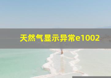 天然气显示异常e1002