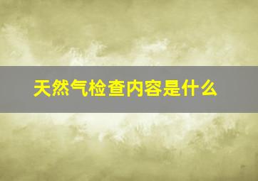 天然气检查内容是什么