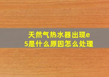 天然气热水器出现e5是什么原因怎么处理