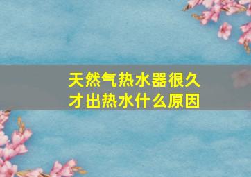 天然气热水器很久才出热水什么原因