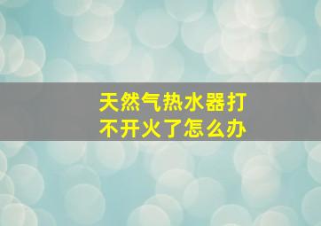 天然气热水器打不开火了怎么办