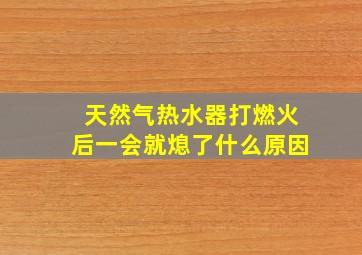 天然气热水器打燃火后一会就熄了什么原因