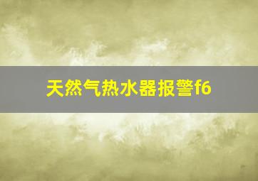 天然气热水器报警f6