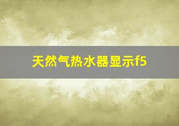 天然气热水器显示f5