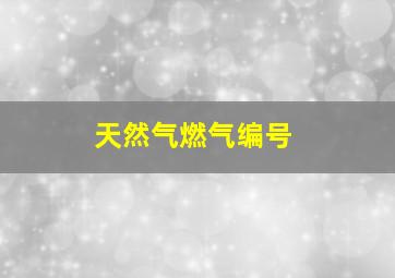 天然气燃气编号