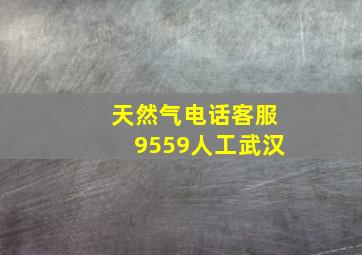 天然气电话客服9559人工武汉