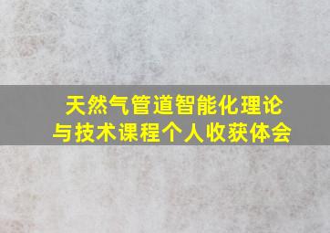 天然气管道智能化理论与技术课程个人收获体会