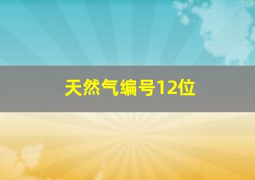 天然气编号12位