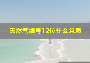 天然气编号12位什么意思