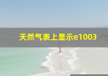 天然气表上显示e1003