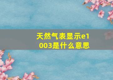 天然气表显示e1003是什么意思