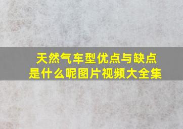 天然气车型优点与缺点是什么呢图片视频大全集