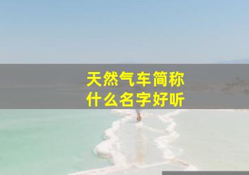 天然气车简称什么名字好听