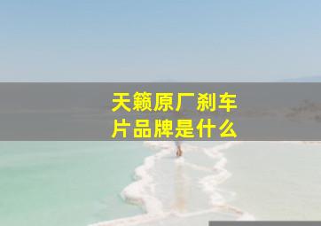 天籁原厂刹车片品牌是什么