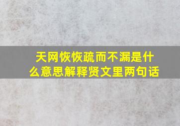 天网恢恢疏而不漏是什么意思解释贤文里两句话