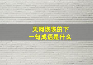 天网恢恢的下一句成语是什么