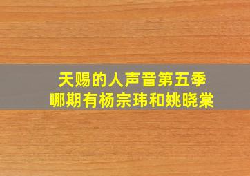 天赐的人声音第五季哪期有杨宗玮和姚晓棠