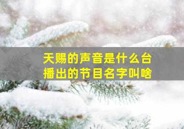 天赐的声音是什么台播出的节目名字叫啥