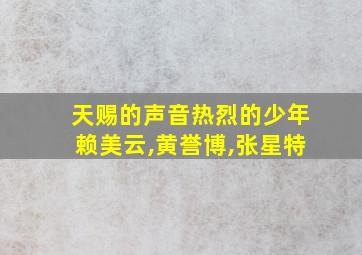 天赐的声音热烈的少年赖美云,黄誉博,张星特