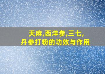 天麻,西洋参,三七,丹参打粉的功效与作用