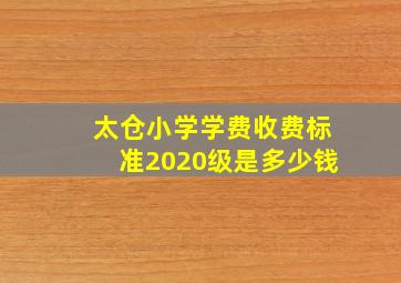 太仓小学学费收费标准2020级是多少钱