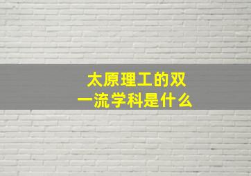 太原理工的双一流学科是什么