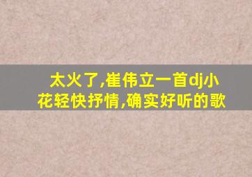 太火了,崔伟立一首dj小花轻快抒情,确实好听的歌