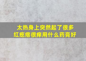 太热身上突然起了很多红疙瘩很痒用什么药膏好