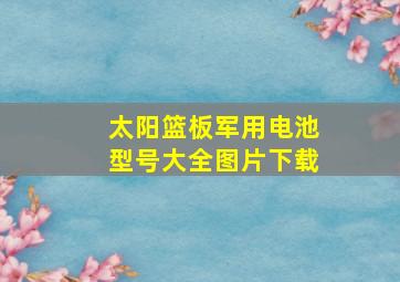 太阳篮板军用电池型号大全图片下载