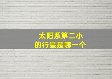 太阳系第二小的行星是哪一个