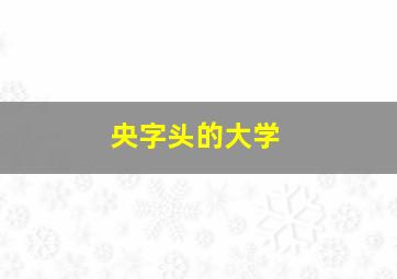 央字头的大学