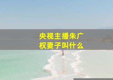 央视主播朱广权妻子叫什么