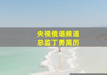 央视俄语频道总监丁勇简历