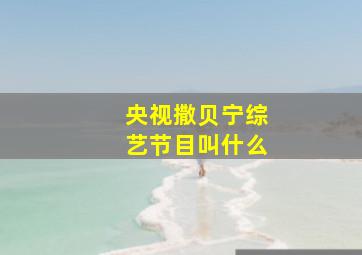 央视撒贝宁综艺节目叫什么