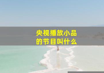 央视播放小品的节目叫什么