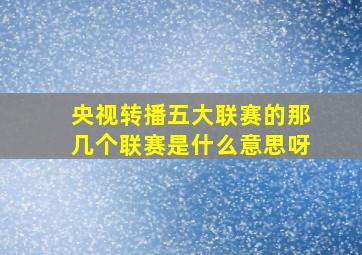 央视转播五大联赛的那几个联赛是什么意思呀