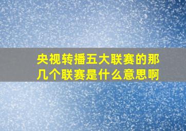 央视转播五大联赛的那几个联赛是什么意思啊