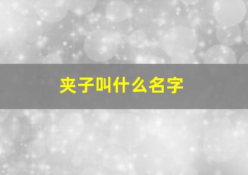 夹子叫什么名字