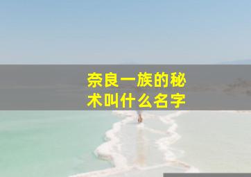 奈良一族的秘术叫什么名字