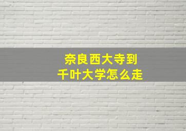 奈良西大寺到千叶大学怎么走