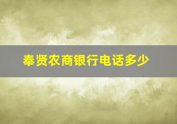 奉贤农商银行电话多少