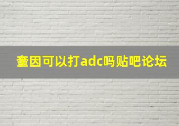 奎因可以打adc吗贴吧论坛