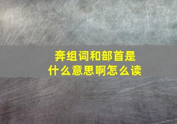 奔组词和部首是什么意思啊怎么读