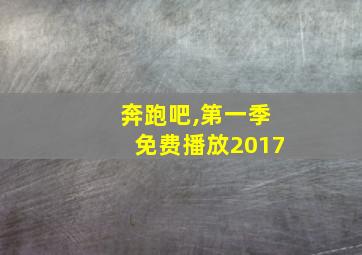 奔跑吧,第一季免费播放2017