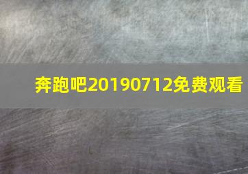 奔跑吧20190712免费观看