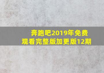 奔跑吧2019年免费观看完整版加更版12期