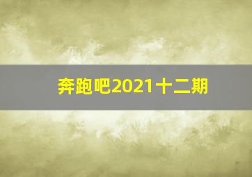 奔跑吧2021十二期