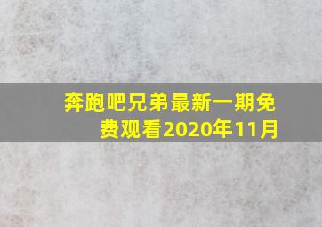 奔跑吧兄弟最新一期免费观看2020年11月