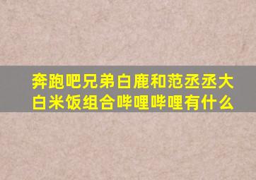 奔跑吧兄弟白鹿和范丞丞大白米饭组合哔哩哔哩有什么