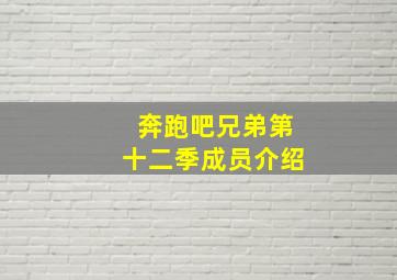 奔跑吧兄弟第十二季成员介绍